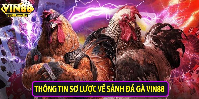 Thông tin sơ lược về sảnh đá gà Vin88